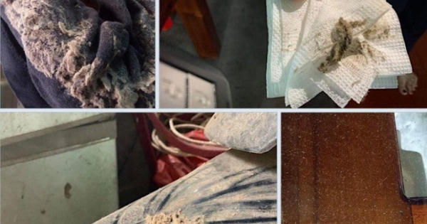 Dân kêu trời vì nhà máy chế biến gỗ xả bụi mù mịt Dân kêu trời vì nhà máy chế biến gỗ xả bụi mù mịt