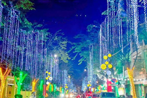 Thành phố Biên Hòa trang hoàng diện mạo mới lung linh đón Tết Thành phố Biên Hòa trang hoàng diện mạo mới lung linh đón Tết