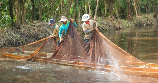 Về Cà Mau chụp đìa!