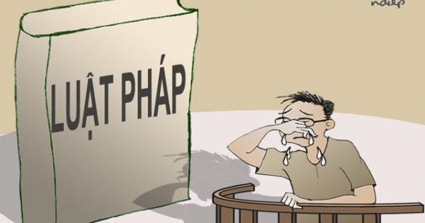 Nghĩ về thông điệp “các đồng chí chờ xem” của ông Nguyễn Phú Trọng