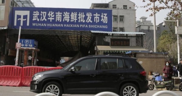 “Mầm mống” dịch bệnh lạ từ chợ động vật hoang dã Trung Quốc