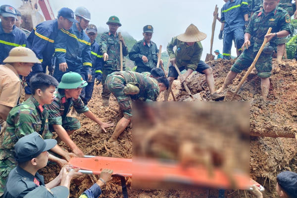 Vụ sạt lở nghiêm trọng ở Hà Giang: Có 15 người được đưa ra khỏi khu vực sạt lở