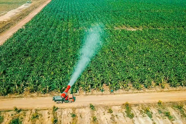 HOSE giữ nguyên diện cảnh báo đối với cổ phiếu của HAGL Agrico