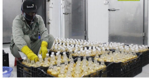 Hiệp định RCEP tạo cơ hội cho xuất khẩu của Đắk Nông