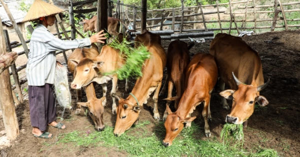 Huyện miền biên xứ Nghệ huy động nhiều nguồn lực để giảm nghèo bền vững