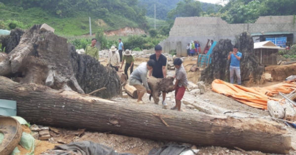 Hiện trường sào huyệt ma túy Lóng Luông bị san phẳng