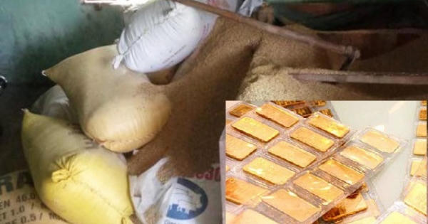 Quảng Nam: Trộm đột nhập vào nhà “cuỗm” mất gần 50 cây vàng