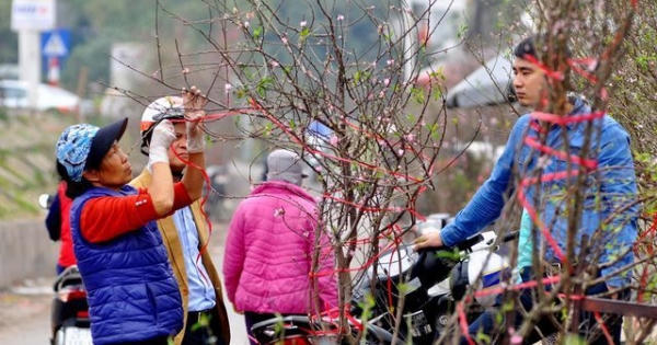 Thời tiết cả nước dịp Tết Kỷ Hợi 2019 diễn biến thế nào?
