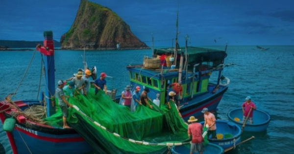 Bình Thuận: Phối hợp tìm kiếm tàu cá có 2 thuyền viên bị mất liên lạc trên biển