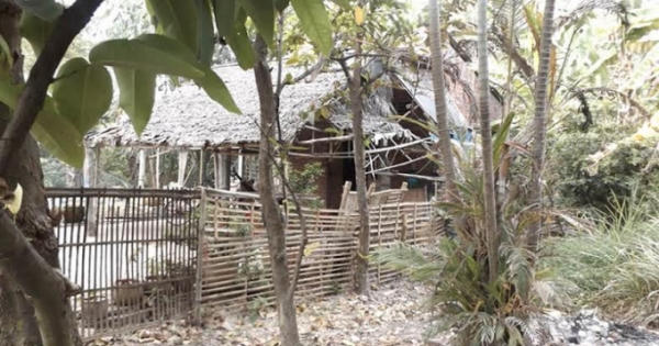 Chấn động: Nghi án bé gái 11 tuổi bị cha đẻ và ông nội hiếp dâm