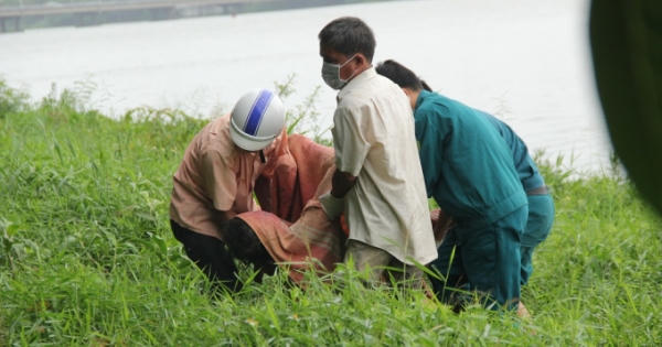 Huế: Phát hiện thi thể ông lão nổi trên sông Hương