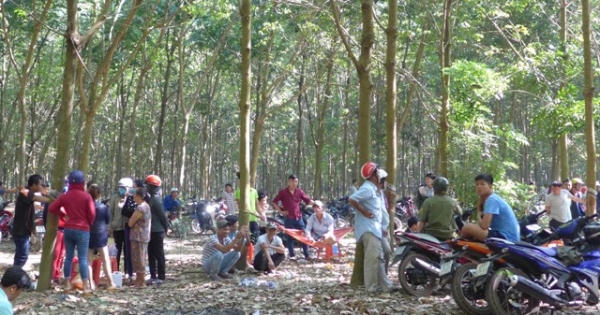 Rùng mình, cô gái bị chủ nợ "bắt cóc" vào rừng chích điện, cắt tai