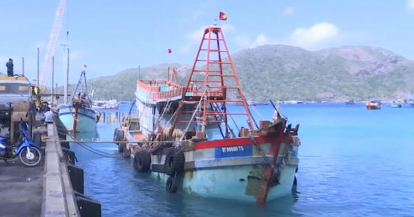 Bắt tàu cá vận chuyển số lượng lớn dầu DO không rõ nguồn gốc trên vùng biển Côn Đảo