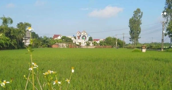 Thái Bình: Bắt nguyên chủ tịch xã và cán bộ địa chính bán đất trái phép