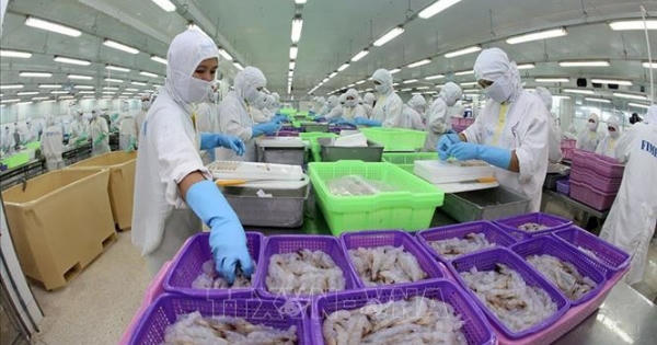 WB: Kinh tế Việt Nam tiếp tục phục hồi dù tăng trưởng có xu hướng giảm tốc