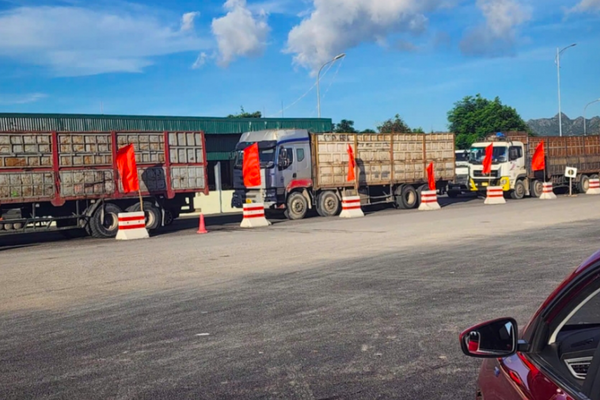 CSGT Hải Phòng sẽ xử lý tình trạng xe tải có dấu hiệu cơi nới, chở quá tải qua phà Đồng Bài CSGT Hải Phòng sẽ xử lý tình trạng xe tải có dấu hiệu cơi nới, chở quá tải qua phà Đồng Bài
