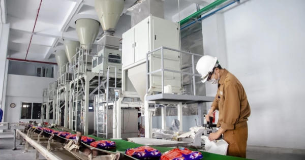 Vinachem muốn thoái vốn tại Hoá chất Đức Giang, Hoá chất Việt Trì và Phân bón Lâm Thao trong năm nay