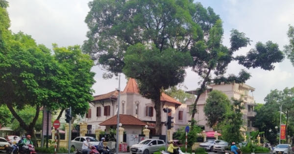 Quản lý và sử dụng nhà đất công sản - Kỳ 2: Nhiều điểm "đất vàng" cho thuê giá bèo Quản lý và sử dụng nhà đất công sản - Kỳ 2: Nhiều điểm "đất vàng" cho thuê giá bèo