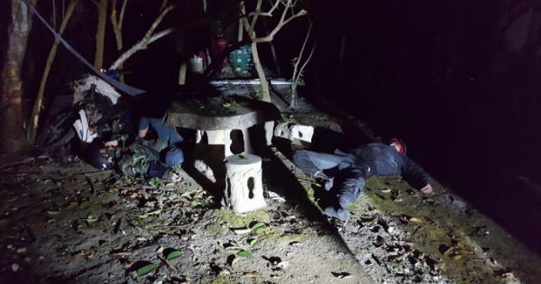 Hai tên trộm lao xe vào gốc cây sau khi bắt 4 con chó