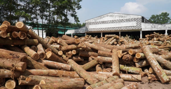 4 dự án chậm tiến độ tại Thanh Hóa sau gia hạn 24 tháng bây giờ ra sao?