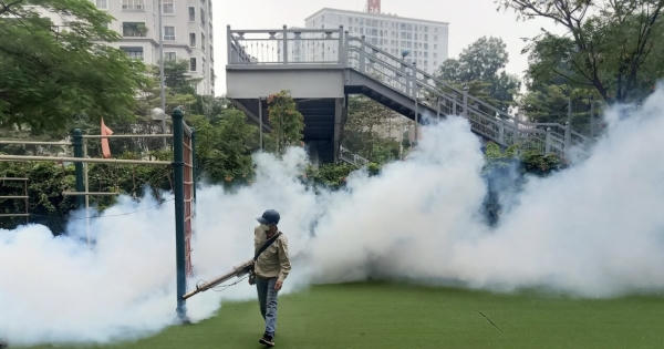 Cảnh báo lừa đảo: Cẩn trọng với dịch vụ phun thuốc diệt côn trùng không rõ nguồn gốc