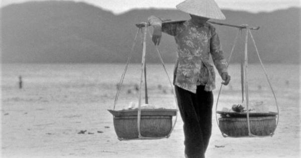 Chiếc đòn gánh tre trong tiềm thức Việt Chiếc đòn gánh tre trong tiềm thức Việt