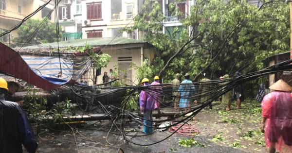 Nhiều cây lớn, cột điện đổ tại Hà Nội do ảnh hưởng bão số 3