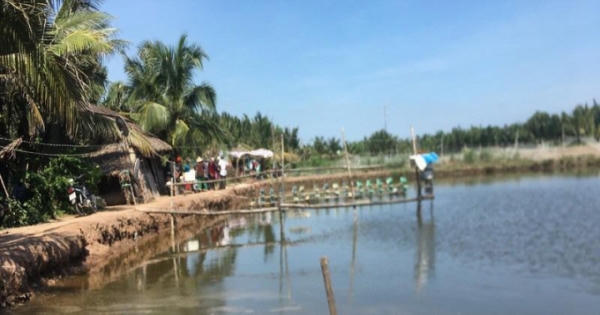 Phát hiện 3 người tử vong tại chòi lá cùng thư tuyệt mệnh