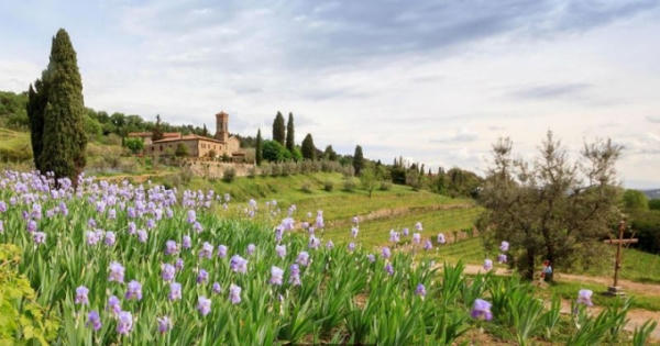 Nước hoa thánh thiêng có giá tỷ đồng