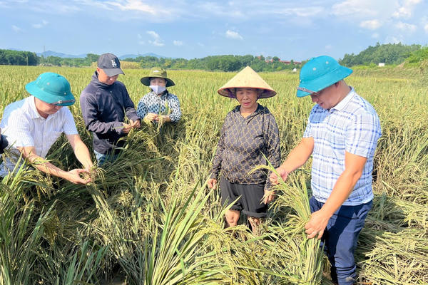Thủ tướng chỉ đạo đẩy mạnh khôi phục sản xuất nông nghiệp sau bão số 3 Thủ tướng chỉ đạo đẩy mạnh khôi phục sản xuất nông nghiệp sau bão số 3