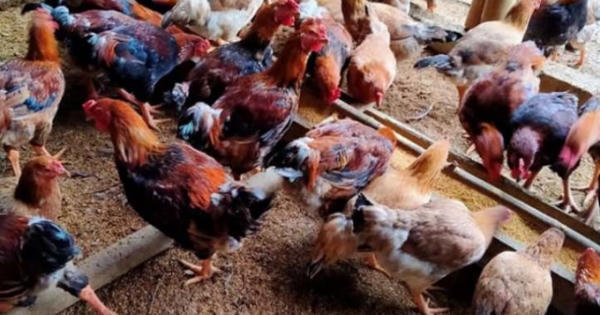 Công ty Franbio Việt Nam thiếu hợp tác trong xử lý vi phạm