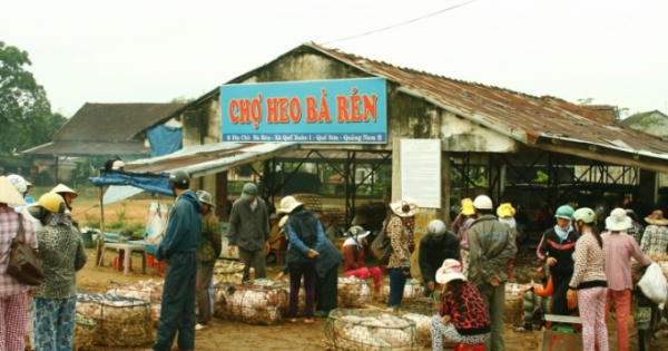 Năm Hợi, về xứ Quảng nghe kể chuyện nghề bồng heo lấy may Năm Hợi, về xứ Quảng nghe kể chuyện nghề bồng heo lấy may