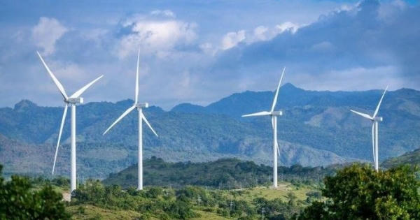 Không nên vội vàng đánh đổi rừng tự nhiên làm điện gió
