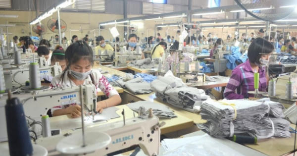 Vì sao cổ phiếu MPT của CTCP Tập đoàn Trường Tiền bị hủy niêm yết