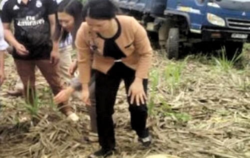 Thanh Hóa: Xe ben tuột dốc đè chết 1 người, 14 người bị thương
