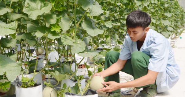 Bộ Chỉ huy Quân sự tỉnh Bà Rịa - Vũng Tàu sơ kết công tác Hậu cần - Tài chính