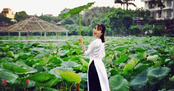 Giới trẻ hào hứng khoe sắc cùng hoa sen
