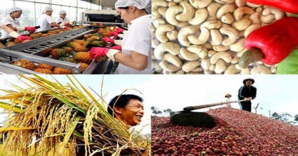 Sức mạnh nông nghiệp