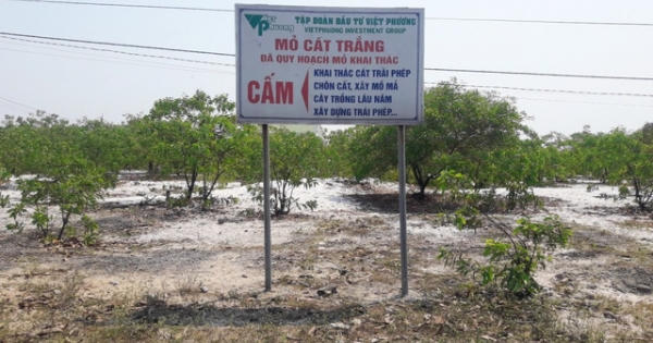 Công ty CP Tập đoàn Đầu tư Việt Phương khai thác 1.431 tấn cát nhưng...quên chưa lắp trạm cân!