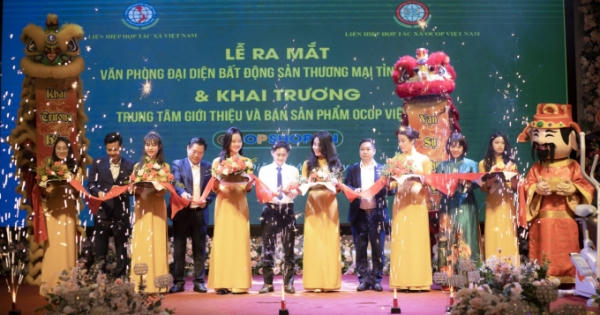 Liên Hiệp HTX Việt Nam khai trương Văn phòng đại diện và Trung tâm giới thiệu bán sản phẩm OCOP tại Nghệ An