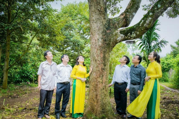 Lễ hội sầu riêng Krông Pắc lần thứ 2 hứa hẹn nhiều hoạt động đặc sắc