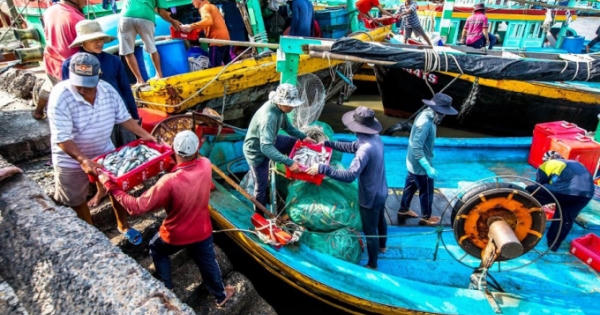 Bình Thuận: Đẩy mạnh chống khai thác IUU, hướng đến phát triển bền vững nghề cá