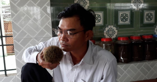 Bình Phước: Người dân tìm thấy một vật thể nghi là cát lợn có giá trị kinh tế