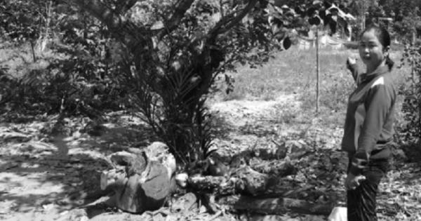 Chuyện "tréo ngoe" ở Bình Dương: Tòa nhận đơn 3 năm vẫn chưa xử vụ cấp nhầm bìa đất Chuyện "tréo ngoe" ở Bình Dương: Tòa nhận đơn 3 năm vẫn chưa xử vụ cấp nhầm bìa đất