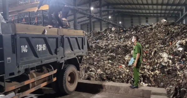 Quảng Ninh: Bắt giữ và tiêu hủy gần 36.000 con giống gia cầm nhập lậu
