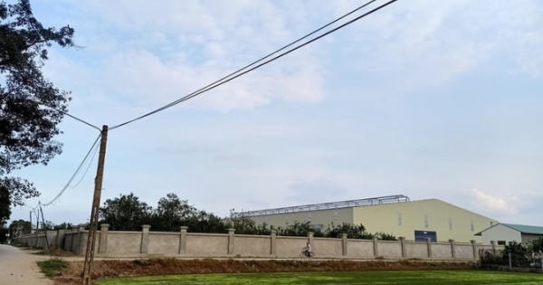 Hưng Yên: Xử lý nghiêm Chủ tịch UBND xã Thọ Vinh cho thuê đất công trái thẩm quyền