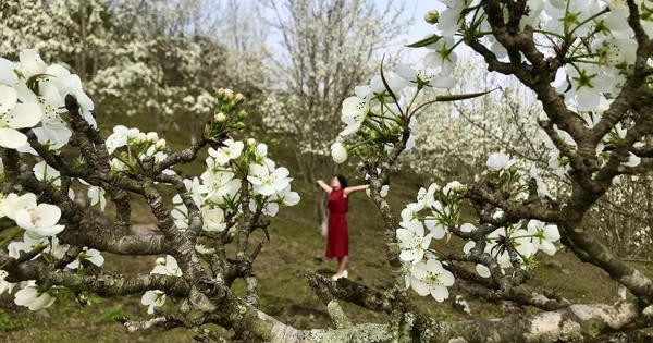 Sắp diễn ra Lễ hội Hương sắc Na Hang