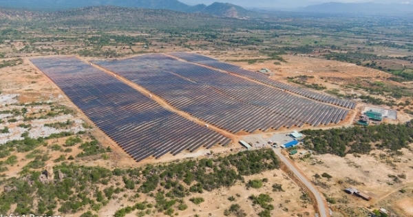 Hàng loạt dự án điện mặt trời 'ngó lơ' kết luận của Thanh tra Chính phủ