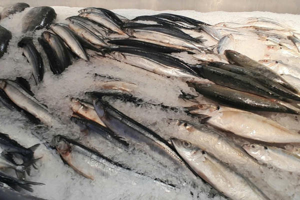 Xuất khẩu thủy sản Việt Nam vẫn tăng trưởng trong bối cảnh thị trường nhiều biến động