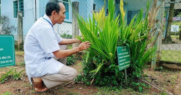 Bác sĩ phá bỏ hủ tục 'vượt cạn' giữa rừng